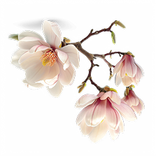 flower-11